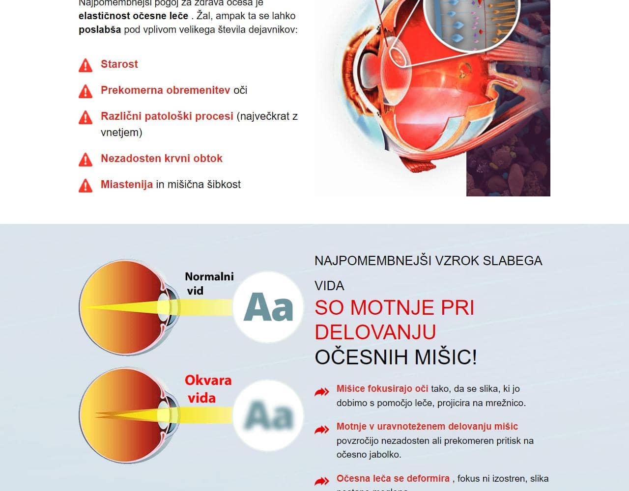 Oculear 2